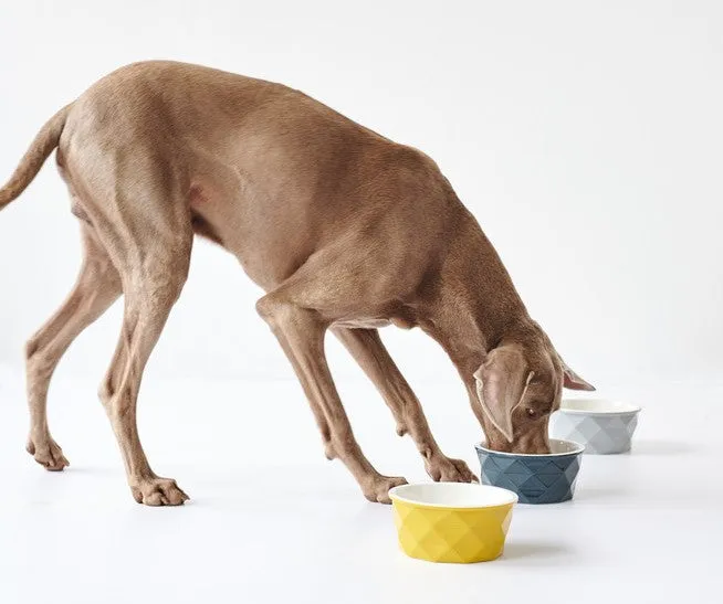 EIBY Ceramic Bowl