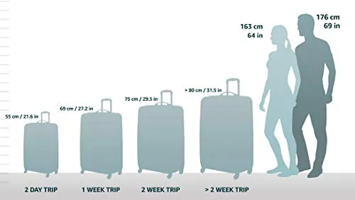 Victorinox Lexicon 2.0 Large Expandable Carry-on, Gray